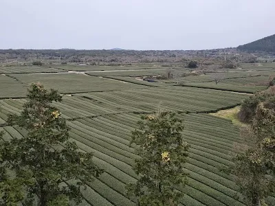 place image