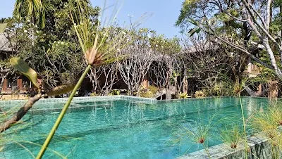 place image